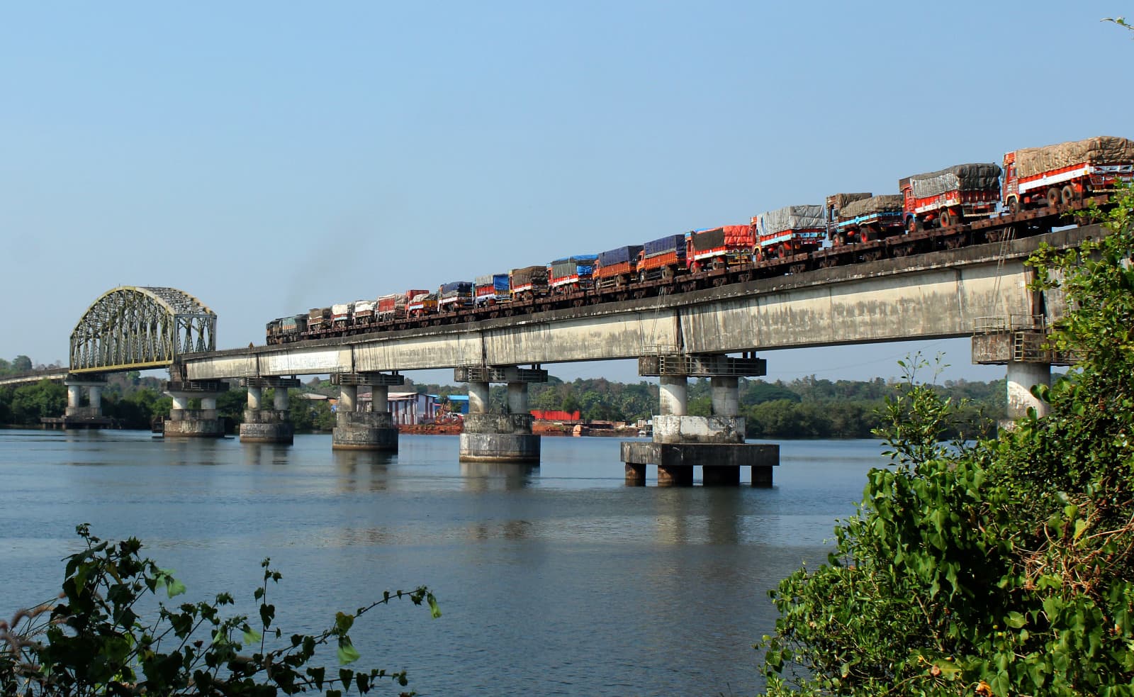 Colorful cargo train transport through lush Indian landscape